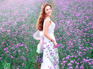 六月份還有薰衣草嗎？6月份哪里有薰衣草？