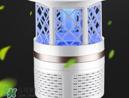 滅蚊燈可以滅蒼蠅嗎？滅蚊燈可以滅飛蛾嗎