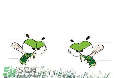 招蚊子是什么原因？招蚊子體質(zhì)怎么辦？