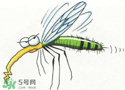 招蚊子是什么原因？招蚊子體質(zhì)怎么辦？