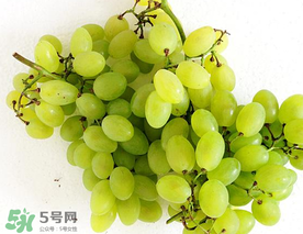 青提什么時候成熟？青提什么時候上市？