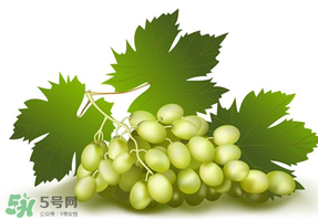 青提不能和什么一起吃？青提哪些人不能吃？