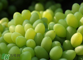 青提不能和什么一起吃？青提哪些人不能吃？