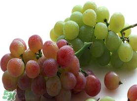 提子和櫻桃能一起吃嗎？櫻桃和提子能同食嗎?