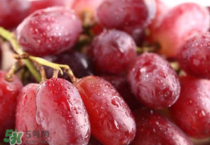 提子不能和什么一起吃？吃提子的禁忌