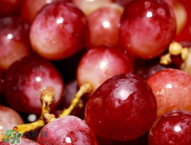 提子什么季節(jié)成熟？提子什么時候上市？