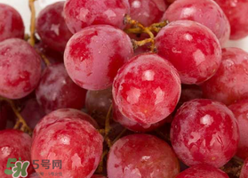 提子什么季節(jié)成熟？提子什么時候上市？