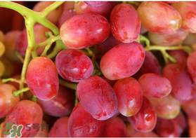 提子什么季節(jié)成熟？提子什么時候上市？