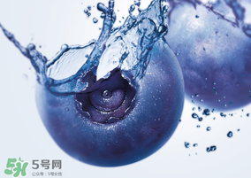 藍莓熱量高嗎？藍莓醬熱量高嗎？