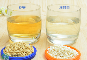 美林菊花晶一天喝幾次？美林菊花晶一天喝多少？