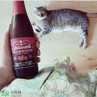 果酒有哪些品牌好喝 國外果酒品牌推薦 果酒有哪些品牌好喝 國外果酒品牌推薦