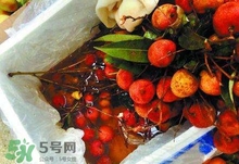 荔枝為什么要用藥水泡？荔枝藥水浸泡是否安全？