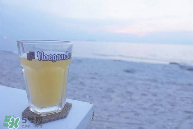 果酒有哪些品牌好喝 國外果酒品牌推薦 果酒有哪些品牌好喝 國外果酒品牌推薦