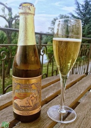 果酒有哪些品牌好喝 國外果酒品牌推薦 果酒有哪些品牌好喝 國外果酒品牌推薦