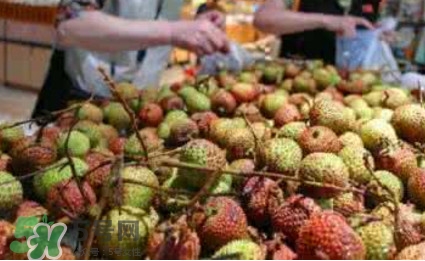 荔枝泡藥水是怎么回事？如何識(shí)別泡過藥水的荔枝