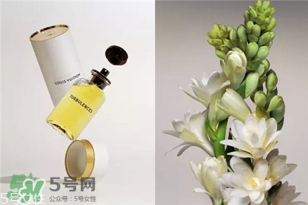 lv香水都是什么味道?lv香水哪款最好聞? lv香水都是什么味道?lv香水哪款最好聞?