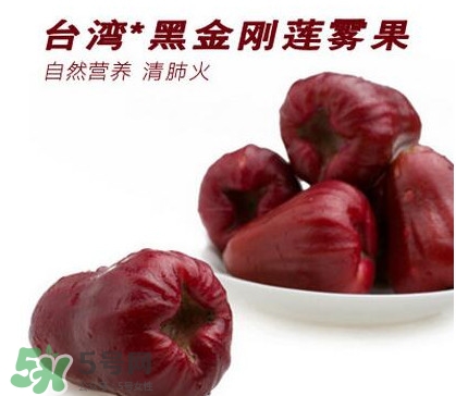 黑珍珠蓮霧多少錢一斤2017？黑珍珠蓮霧產(chǎn)地是哪里