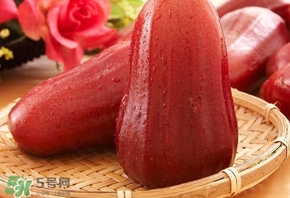 蓮霧什么季節(jié)吃最好？什么品種的蓮霧最好吃