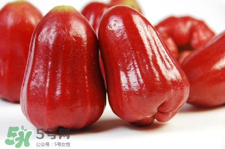 黑珍珠蓮霧多少錢一斤2017？黑珍珠蓮霧產(chǎn)地是哪里