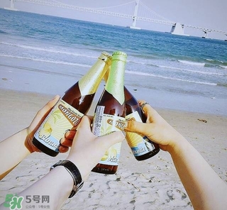 果酒有哪些品牌好喝 國外果酒品牌推薦 果酒有哪些品牌好喝 國外果酒品牌推薦