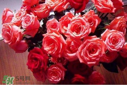 父親節(jié)送老公什么禮物好呢 父親節(jié)給老公送什么禮物 父親節(jié)送老公什么禮物好呢 父親節(jié)給老公送什么禮物