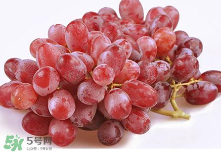 提子為什么會澀？提子澀怎么辦是沒熟嗎？