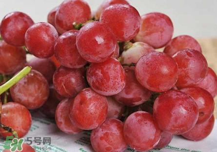 提子為什么會澀？提子澀怎么辦是沒熟嗎？