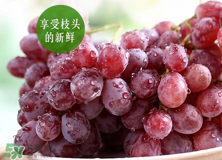 提子為什么會澀？提子澀怎么辦是沒熟嗎？