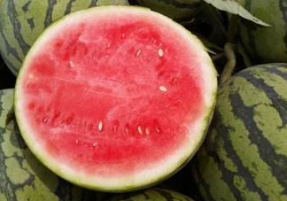 8424西瓜怎么挑？8424西瓜怎么辨別生熟？