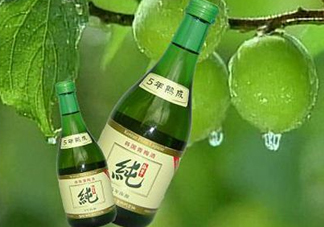 青梅酒泡多久可以喝？青梅酒好喝嗎？