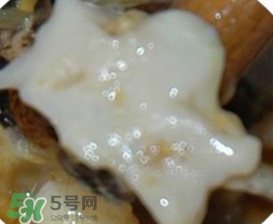 面包蟹是哪里產(chǎn)的？面包蟹哪里不能吃圖解