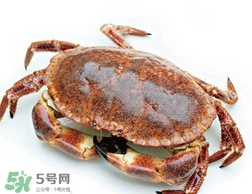 面包蟹好吃還是梭子蟹？面包蟹和梭子蟹的區(qū)別
