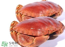 面包蟹為什么那么多黃？面包蟹為什么不能清蒸