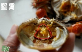 面包蟹是哪里產(chǎn)的？面包蟹哪里不能吃圖解