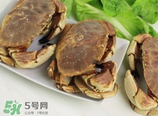 面包蟹是黃道蟹嗎？黃道蟹和面包蟹一樣嗎