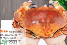 速凍面包蟹如何處理？活面包蟹怎么處理清洗