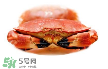 熟凍面包蟹好吃嗎？面包蟹是鮮活的好還是熟凍的好