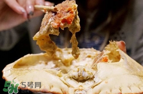 面包蟹什么季節(jié)吃最好？面包蟹什么時候最有黃
