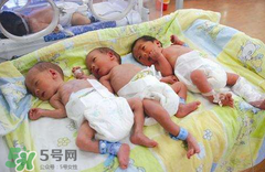 早產(chǎn)兒要喝早產(chǎn)兒奶粉嗎？早產(chǎn)兒最好喝什么奶？