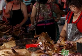 狗肉節(jié)是幾月幾號(hào)？2017玉林狗肉節(jié)是什么時(shí)候