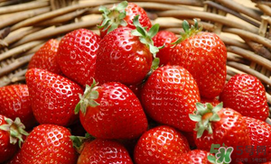 6月份還有草莓嗎？草莓6月份還有嗎？