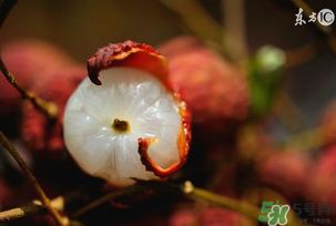 6月份有什么水果？6月份有哪些水果？