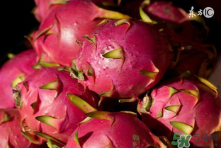 6月份有什么水果？6月份有哪些水果？