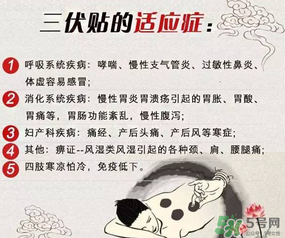 三伏貼能治什么??？三伏貼能治哪些病？