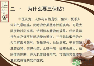三伏貼能治什么病？三伏貼能治哪些??？