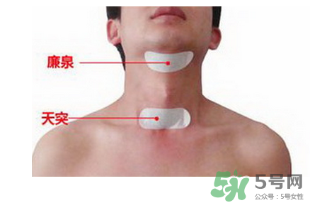 三伏貼貼在什么位置？三伏貼貼哪里？