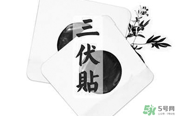貼三伏貼注意事項(xiàng) 貼三伏貼要注意什么？