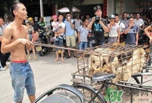 狗肉節(jié)是幾月幾號(hào)？2017玉林狗肉節(jié)是什么時(shí)候