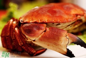 熟凍面包蟹怎么解凍？熟凍面包蟹要怎么清洗