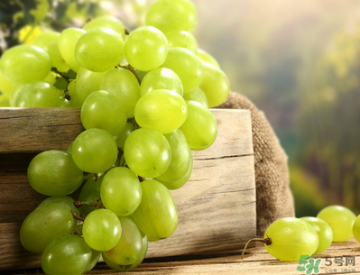 孕婦吃葡萄可以吃皮嗎？孕婦吃葡萄寶寶眼睛大